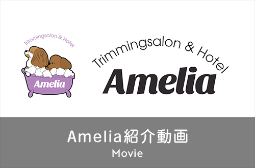 Amelia紹介動画