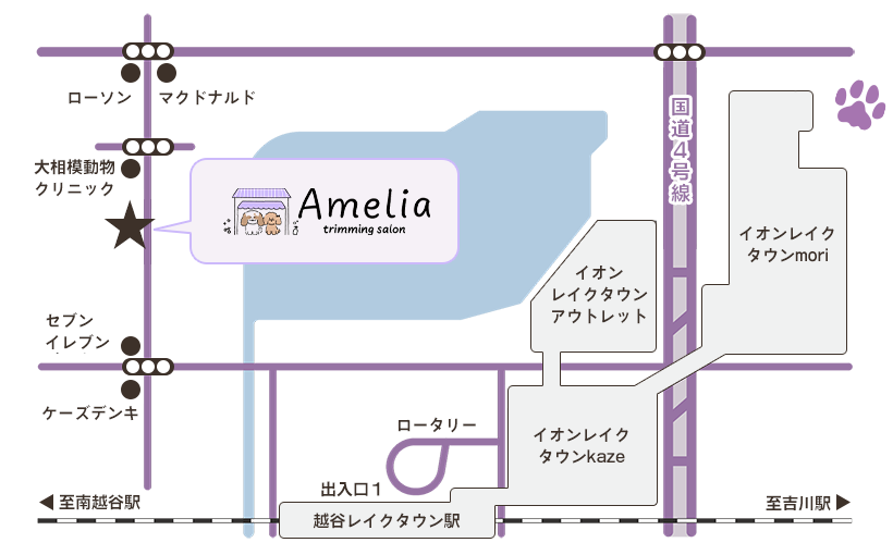 アクセスマップ