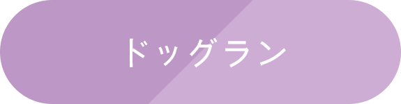 ドッグラン　利用規約