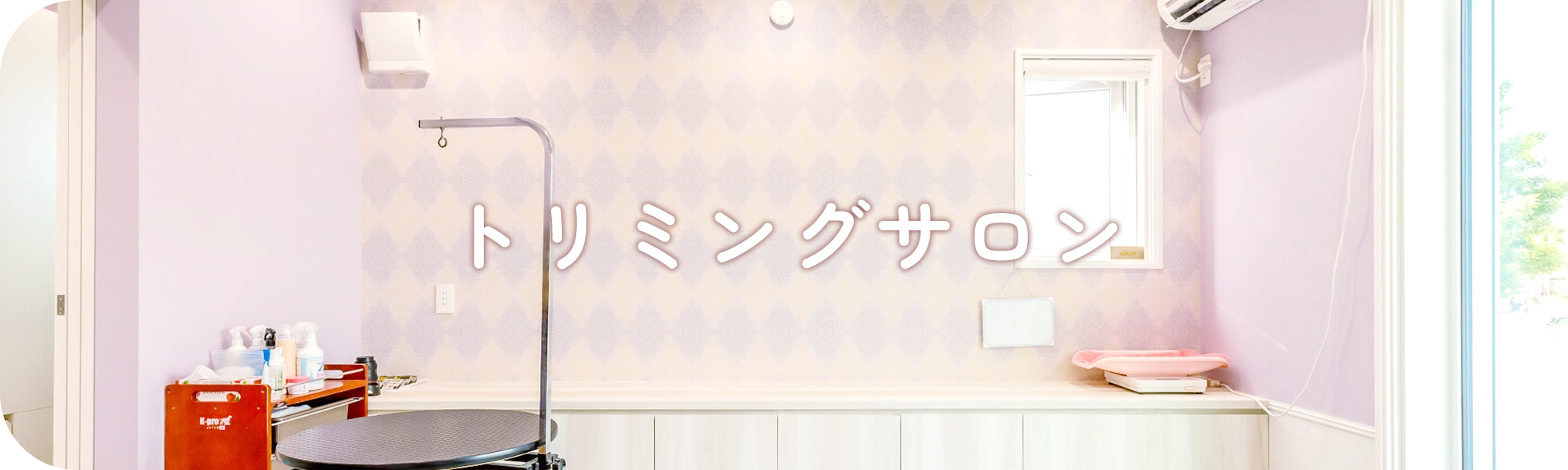 トリミングサロン